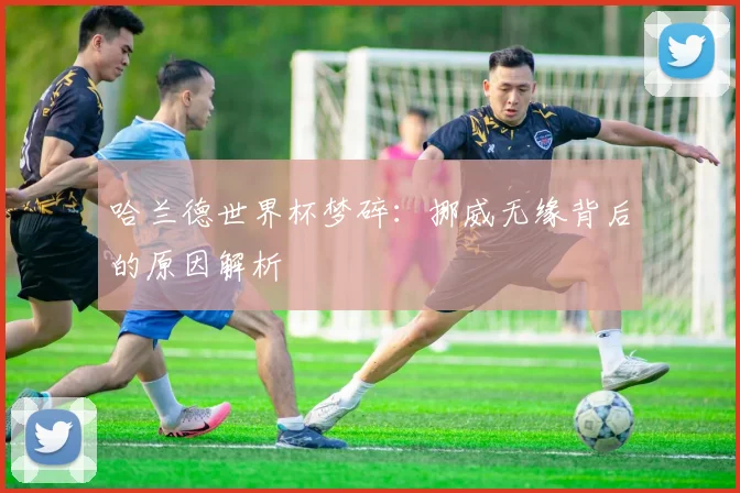 哈兰德世界杯梦碎：挪威无缘背后的原因解析